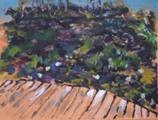 landscape_lily-pond