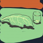 Kitchen table with glass and kale