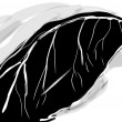 kale drawing