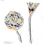2 flowers