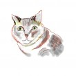 Michaels cat