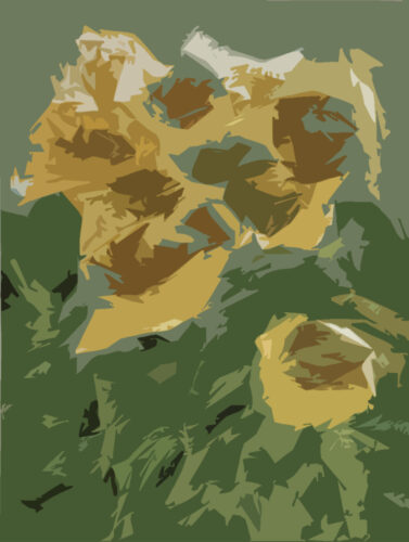 Sunflowers IV