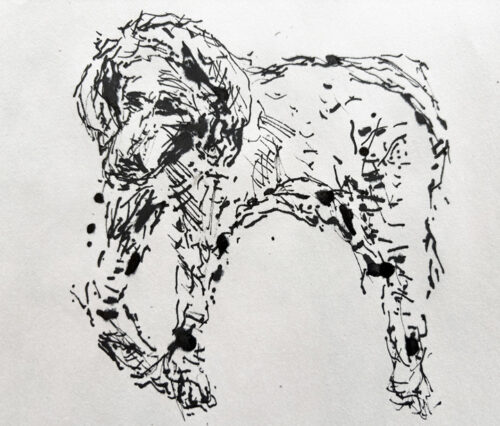 Bonita I chopstick and ink