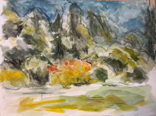 Landscape with bush