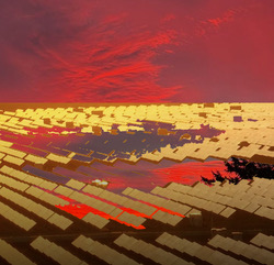 solar park at sunset