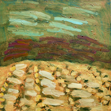 Troubled cornfields in snow I