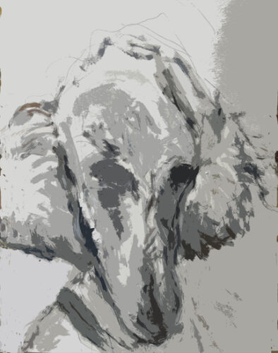 Bonita cutout I