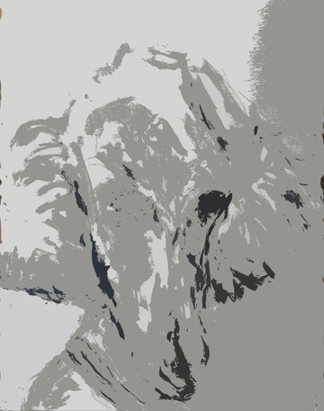 Bonita cutout II
