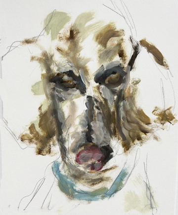 Beloved dog portrait