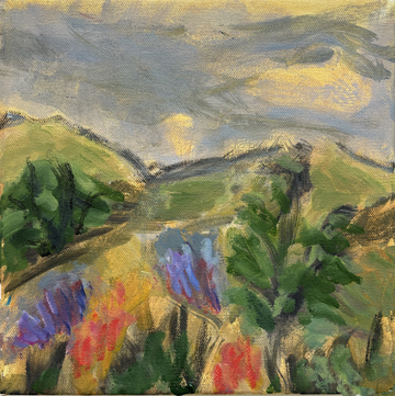 Hill landscape with flowers