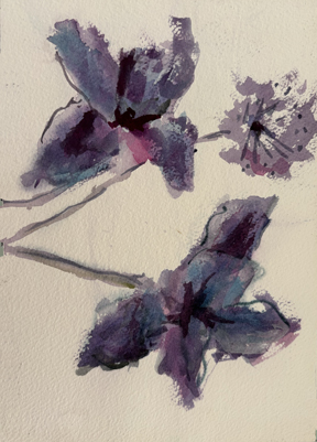 June Irises